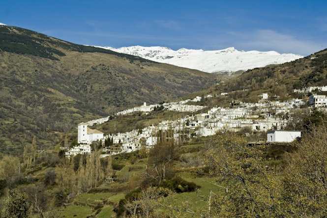 Vista panorámica de Bubion (SYTO. BUBION)