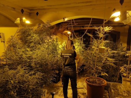 Imagen de archivo de un agente de la Guardia Civil en una plantación ilegal de marihuana (GUARDIA CIVIL)