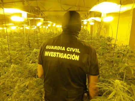 Agente de la Guardia CIvil en la plantación de marihuana (GUARDIA CIVIL)