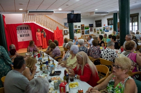 (AYUNTAMIENTO ARMILLA) 