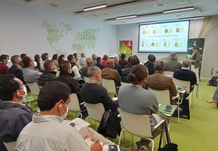 Presentación de la nueva variedad de aguacates (LA CAÑA)