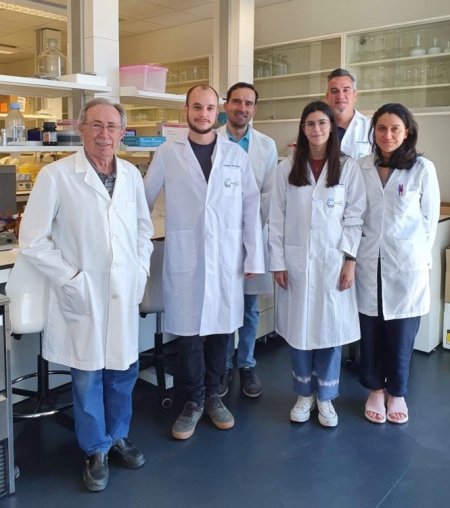 Equipo investigador de la UGR (UGR)