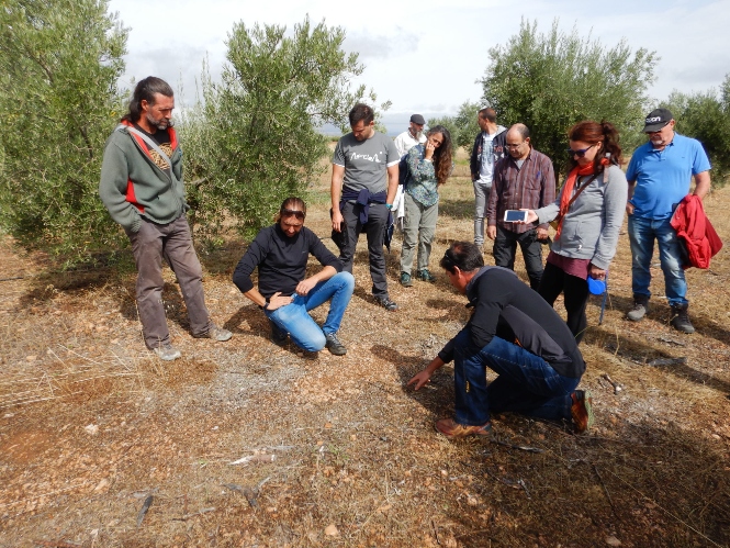 (FUNDACIÓN ALVELAL) 