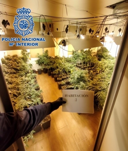 Imagen de la plantación (POLICIA NACIONAL)