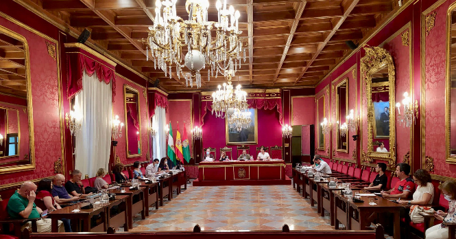 Reunión del consejo escolar provincial (AYTO. GRANADA) 