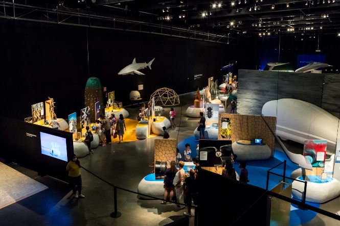 Vista panorámica de `Bioinspiración` (PARQUE DE LAS CIENCIAS)