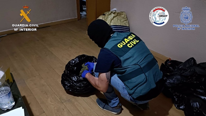Parte de la droga incautada en la operación (GUARDIA CIVIL)