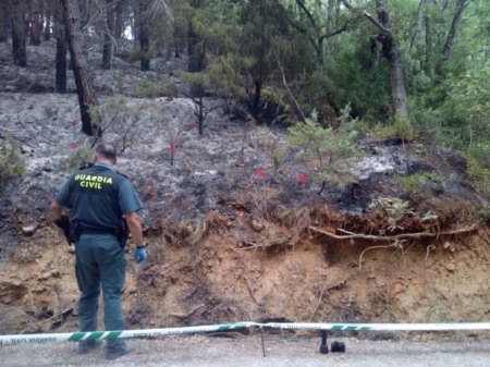 Agente de Guardia Civil junto a un incendio en imagen de archivo (GUARDIA CIVIL)