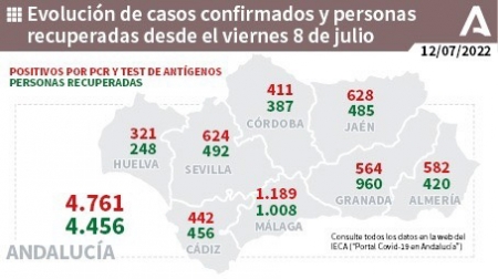 Evolución de la pandemia en Andalucía (JUNTA DE ANDALUCÍA) 