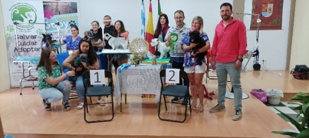 Concurso de Peluquería Canina para Perritos Mestizos o Adoptados (AYTO. VEGAS DEL GENIL) Concurso de Peluquería Canina para Perritos Mestizos o Adoptados (AYTO. VEGAS DEL GENIL)