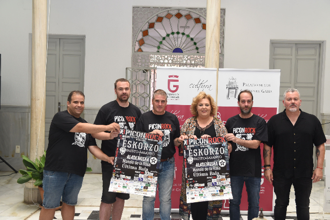 Presentación del Piconrock (L. ARMAS / DIPGRA) 