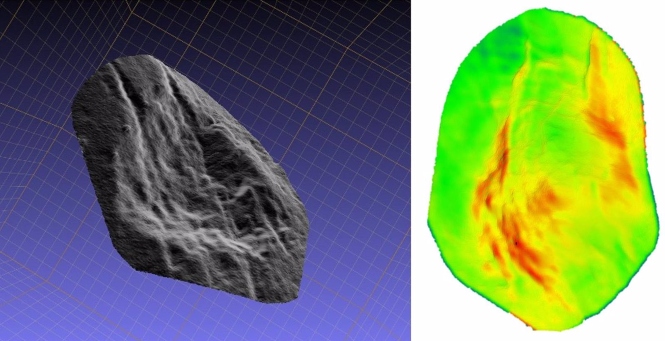 Modelos tridimensionales de una de las marcas de mordedura de Pachycrocuta analizada en este trabajo (SCIENCE BULLETIN)