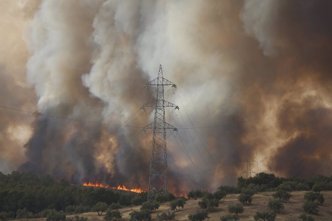 Imagen de archivo de este lunes del incendio forestal declarado en Pinos Puente (ÁLEX CÁMARA - EUROPA PRESS) 