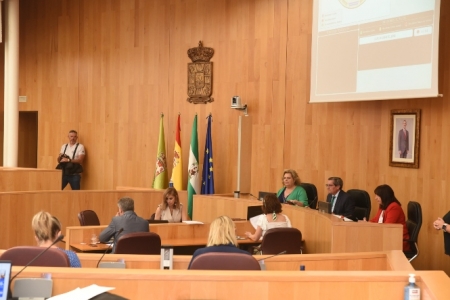 Pleno del mes de julio de Diputación (DIPGRA) Pleno del mes de julio de Diputación (DIPGRA)