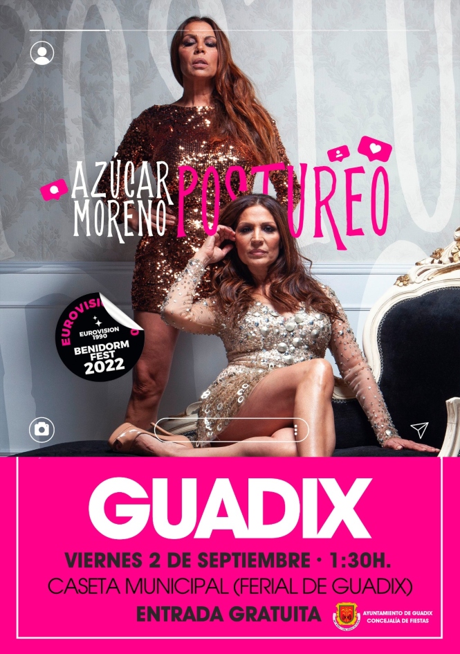 (AYUNTAMEINTO GUADIX)