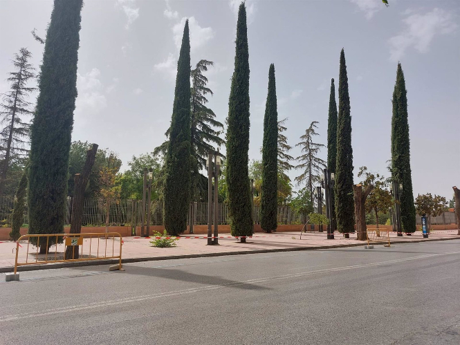 Un conjunto de árboles en los accesos al Parque Lorca, en la calle Arabial (UNIDAS PODEMOS) 