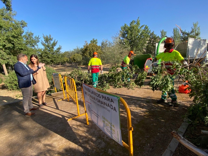 Supervision a las tareas de jardinería (AYTO. GRANADA) 