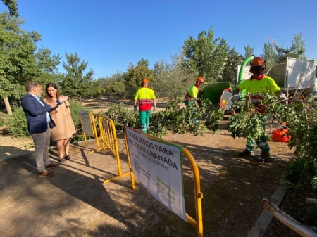 Supervision a las tareas de jardinería (AYTO. GRANADA) 