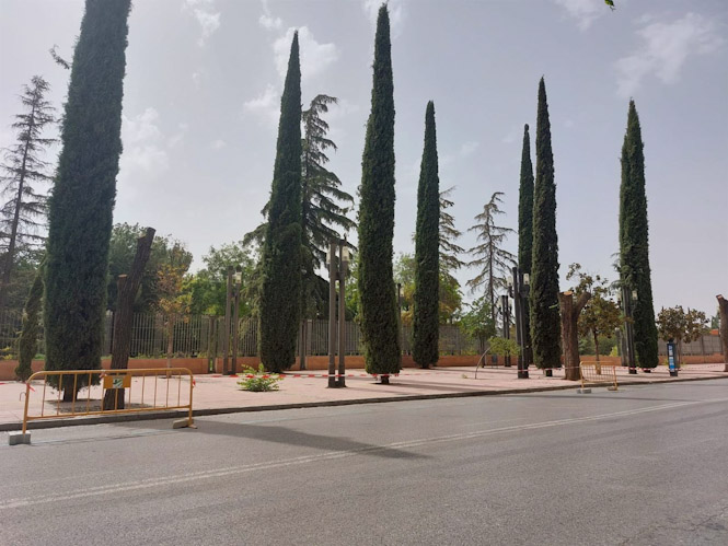 Un conjunto de árboles en los accesos al Parque Lorca, en la calle Arabial, en imagen de archivo (UNIDAS PODEMOS)