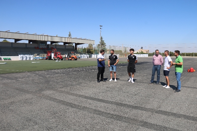 Sustitución del césped artificial (AYTO. ALHENDÍN) 