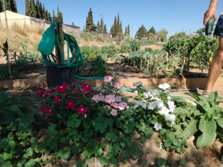 (AYUNTAMIENTO LA ZUBIA) (AYUNTAMIENTO LA ZUBIA)