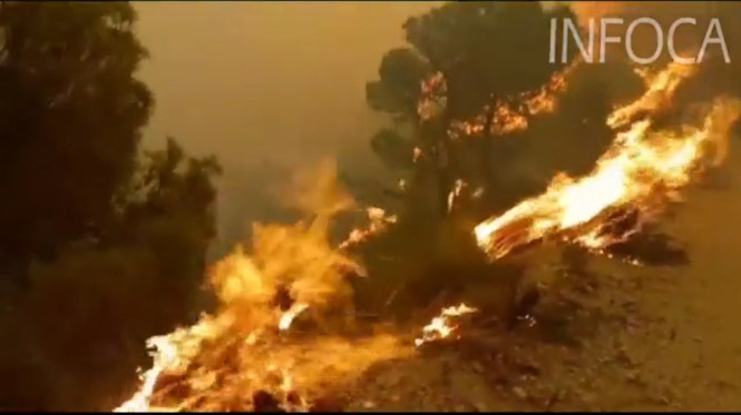 Inceen Guajar Alto (INFOCA) 