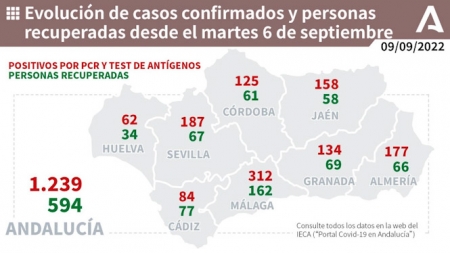 Evolución de la pandemia en Andalucía)(JUNTA DE ANDALUCÍA) 