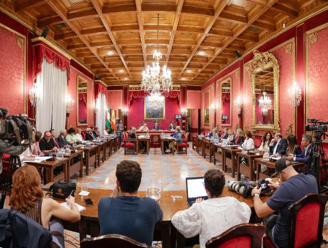Pleno del AYuntamiento de Granada (JAVIER ALGARRA / AYUNTAMIENTO)