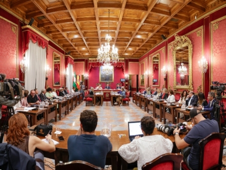 Pleno del AYuntamiento de Granada (JAVIER ALGARRA / AYUNTAMIENTO)