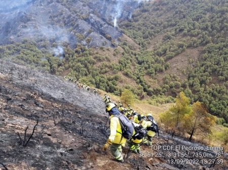 Efectivos del Infoca en la zona del incendio forestal de Los Guájares (PLAN INFOCA)
