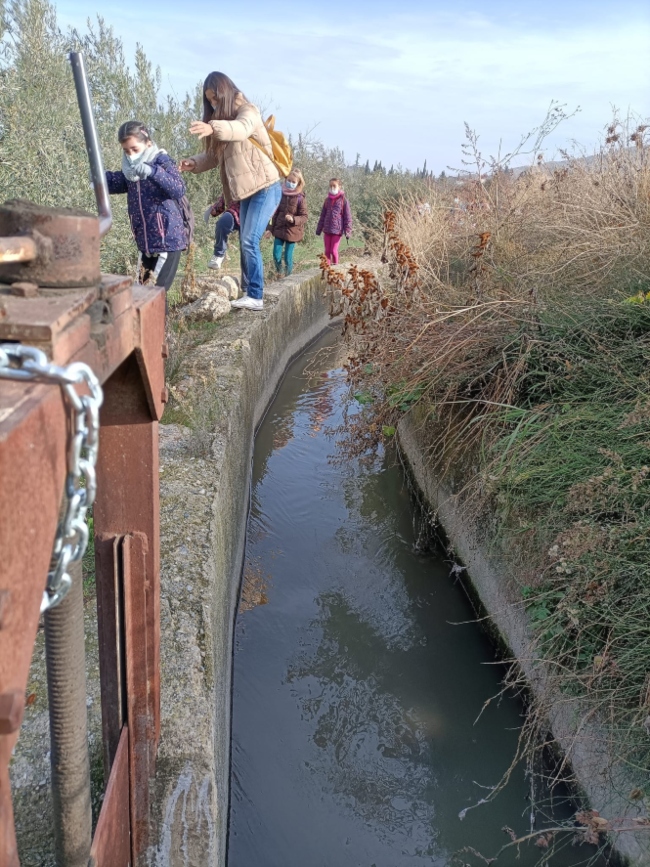 Itinerarios didácticos para escolares organizados por el Ayuntamiento de La Zubia (AYTO. LA ZUBIA)