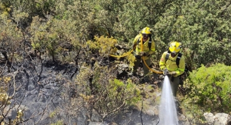 Bomberos forestales del Infoca, en imagen de archivo (PLAN INFOCA) 