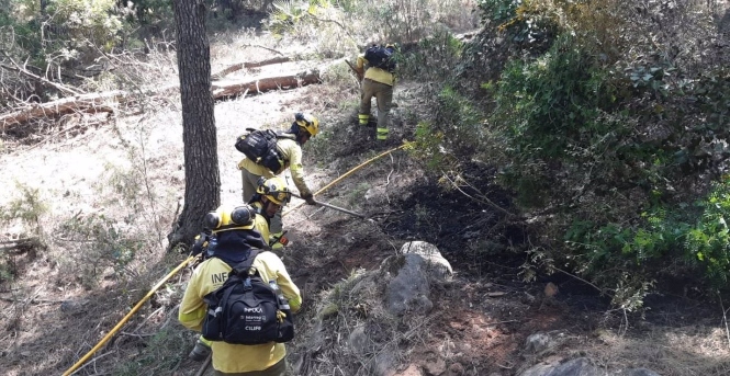 Bomberos forestales del Plan Infoca, archivo (PLAN INFOCA) 