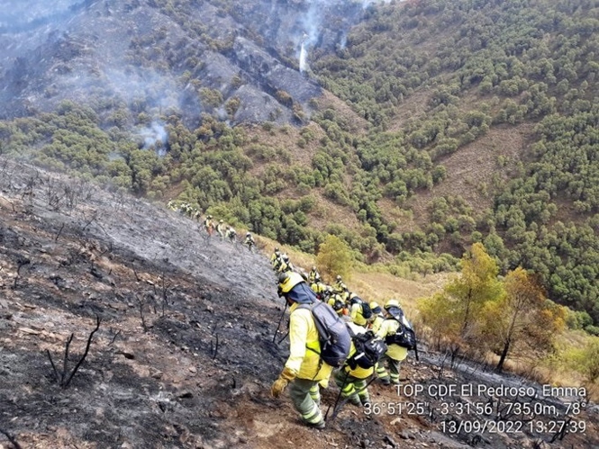 Efectivos del Infoca en la zona del incendio forestal de Los Guájares (PLAN INFOCA)