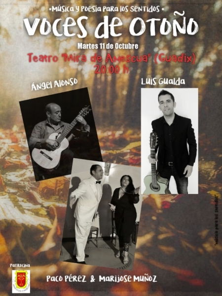 (AYUNTAMIENTO GUADIX) (AYUNTAMIENTO GUADIX)