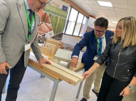 Jornadas sobre el uso de la madera en construcción (JUNTA) Jornadas sobre el uso de la madera en construcción (JUNTA)