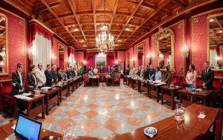 Pleno del Ayuntamiento de Granada ( AYUNTAMIENTO GRANADA)