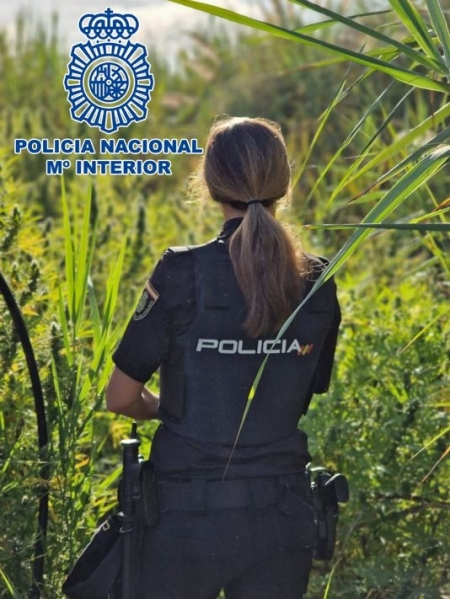 Agente de la policía nacional en la plantación (POLICIA NACIONAL)