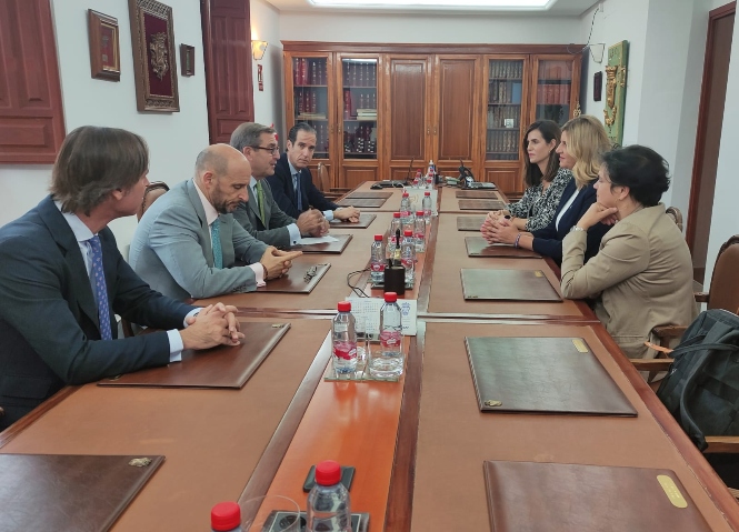 Imagen de la reunión (ICAGR) 