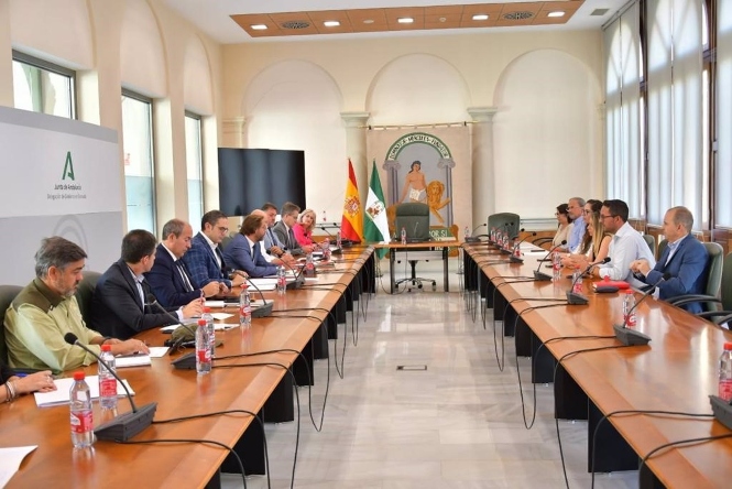 Reunión de Junta y ayuntamientos de municipios afectados por el incendio de Los Guájares (JUNTA) 