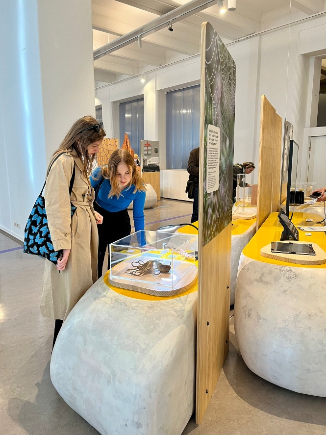 Imagen de la exposición (PARQUE DE LAS CIENCIAS) 