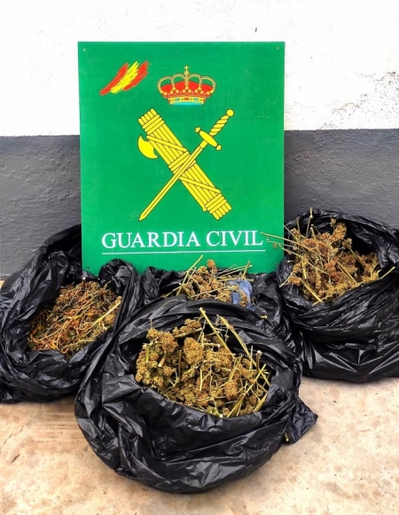 Marihuana intervenida por la Guardia Civil (GUARDIA CIVIL)