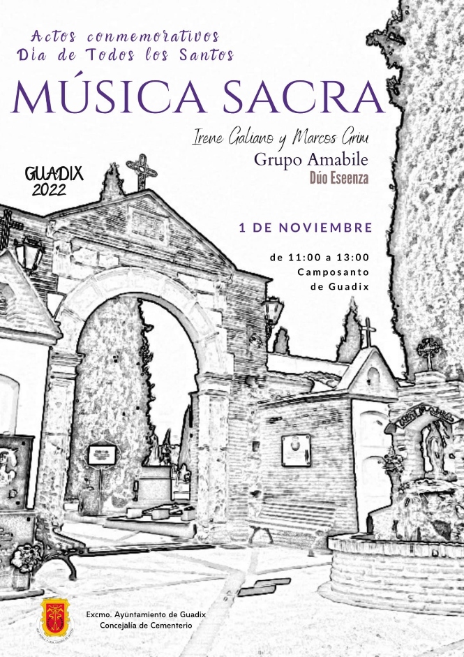 (AYUNTAMIENTO GUADIX) 