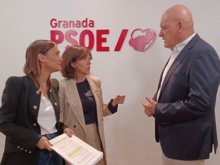 Parlamentarios andaluces del PSOE (PSOE)