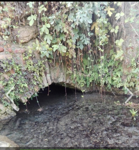 Manantial de Martinete (AYTO. FUENTE VAQUEROS) Manantial de Martinete (AYTO. FUENTE VAQUEROS)