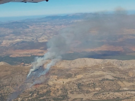 Lugar del incendio en Huétor Santillán (INFOCA)