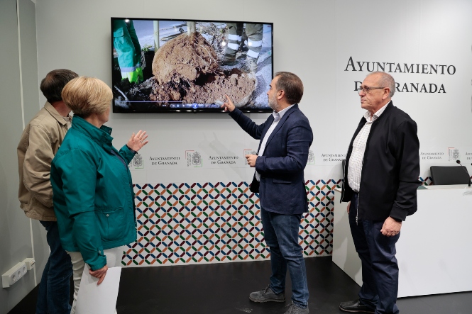 Presentación del plan de recuperación del arbolado (JAVIER ALGARRA / AYUNTAMIENTO)