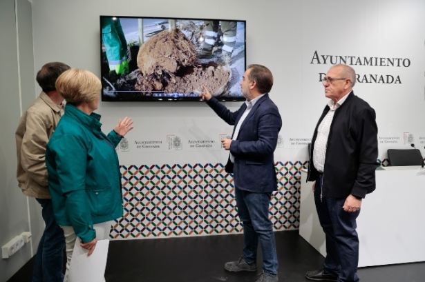 Presentación del plan de recuperación del arbolado (JAVIER ALGARRA / AYUNTAMIENTO)