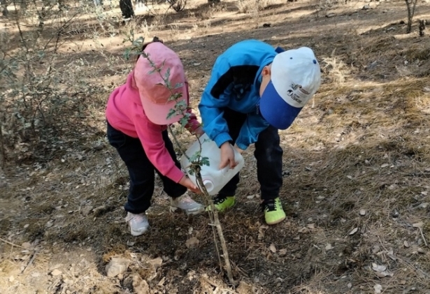 Plantación de árboles en Albolote (AYTO. ALBOLOTE) Plantación de árboles en Albolote (AYTO. ALBOLOTE)