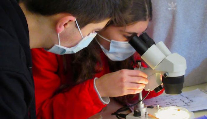 Escolares durante la edición del año pasado (DIPUTACIÓN)